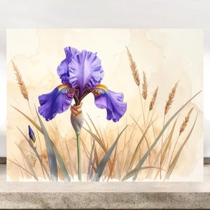 May include: A watercolor painting of a vibrant purple iris flower in full bloom, set against a soft, beige background. The artwork includes detailed depictions of green leaves and tall, dried grasses, creating a naturalistic scene.