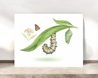 Tarjeta de felicitación con oruga monarca y mariposa / Tarjeta de felicitación de naturaleza / Tarjetas de naturaleza / N.° 112
