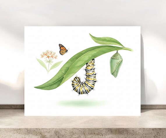 Monarch Caterpillar to Butterfly Notecard | Butterfly Stationery
