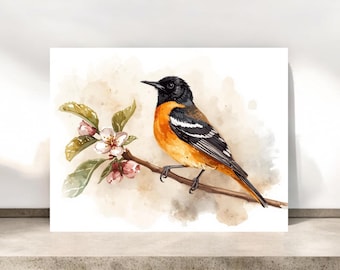 Tarjeta de notas del oropéndola de Baltimore / Tarjetas de notas para observadores de aves / Papelería para aves / Interior en blanco