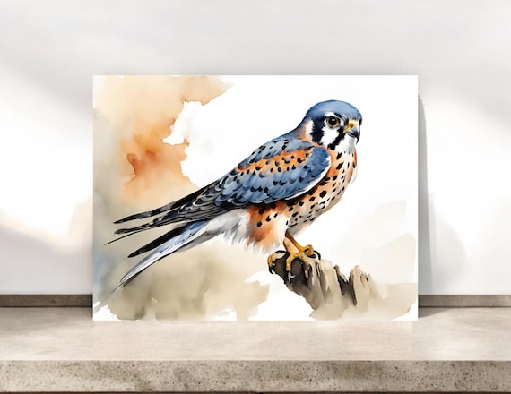 American Kestrel Notecards: Bird Lover Stationery, Sparrow Hawk Art