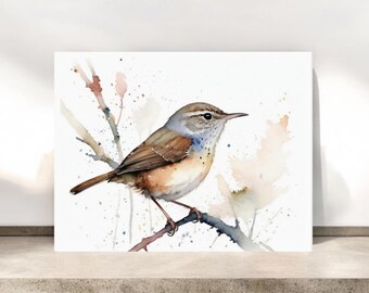 Tarjetas de Little Wren: Papelería para amantes de las aves / Tarjetas para toda ocasión / N.° 109