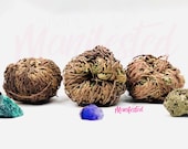 Rose of Jericho - Resurrection Plant New Beginnings Prosperity Success Blessings Wishes Love Protection Rituals