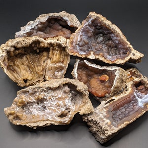 Palm-Size Agatized Coral Geodes, Botryoidal