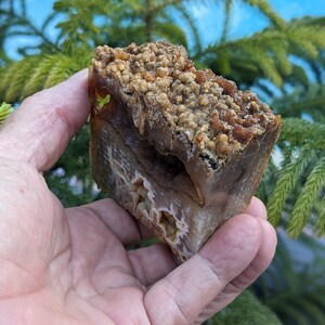 Polished Agatized Coral Geode, Botryoidal and Druzy AC571 image 7