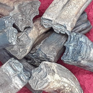 Fossil Ice Age Horse Teeth