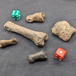 May include: An assortment of small, weathered bones and two dice on a dark gray surface. One die is green with white dots, the other is red with white dots. The bones vary in size and shape, with a long bone in the center.