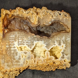 Polished Agatized Coral Geode, Botryoidal and Druzy AC571 image 1