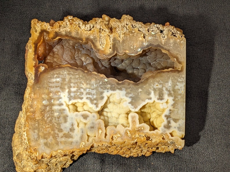 Polished Agatized Coral Geode, Botryoidal and Druzy AC571 image 1