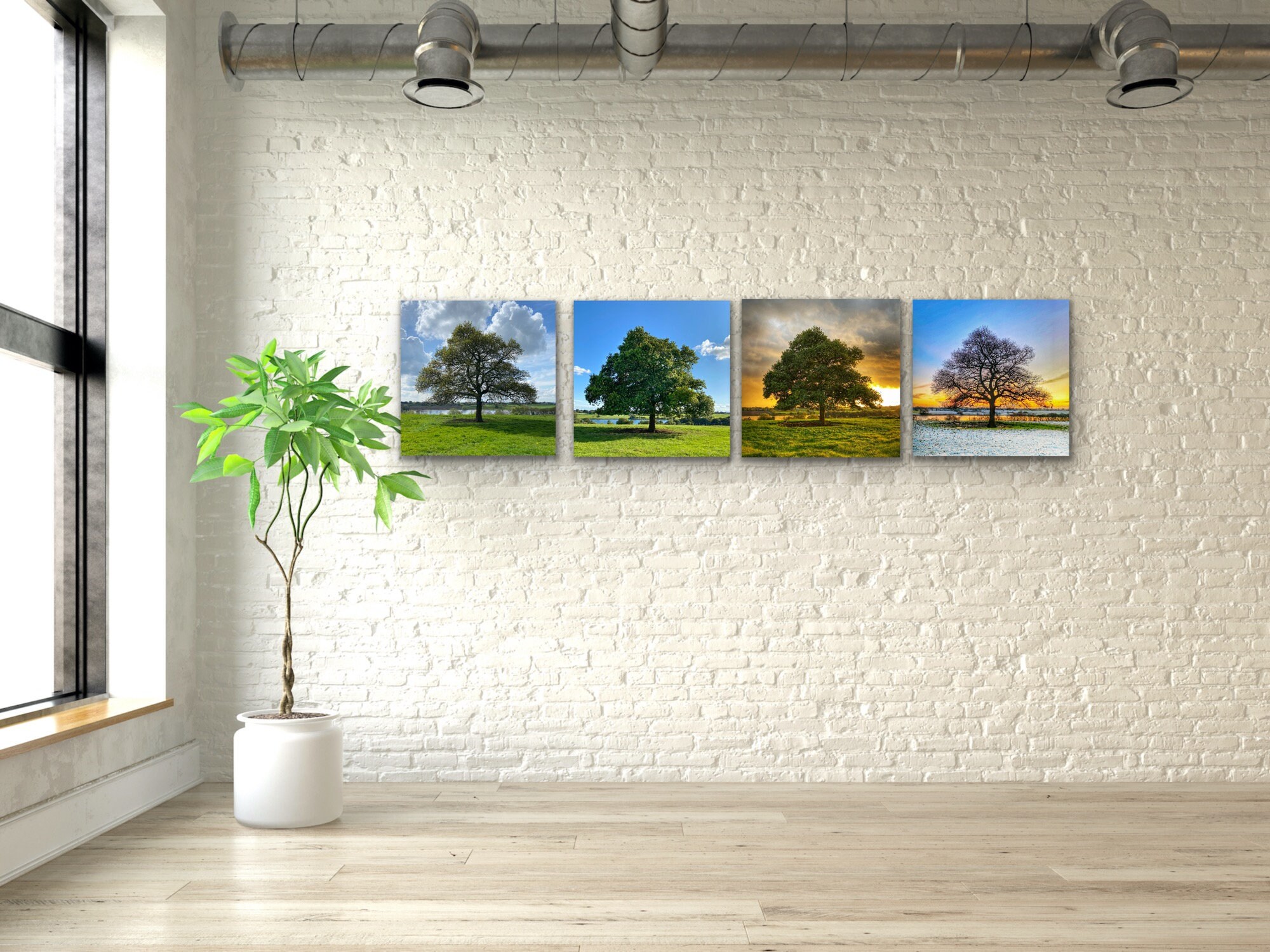 4 Seasons Tree Wall Art Set | Instant Download | Majestic Oak Tree in ...