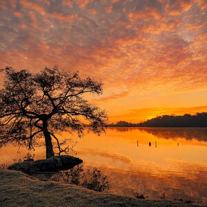 Golden Sunrise Reflection | Wall Art Photography Print | Instant DIGITAL DOWNLOAD | Print Yourself | Marbury Cheshire | Photograph