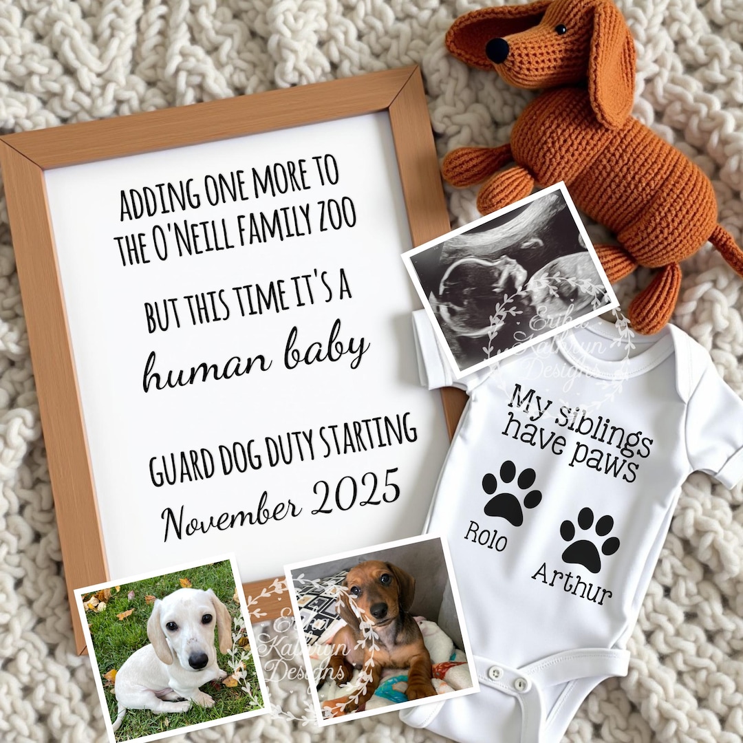 Dog Pregnant Find A Female Dog To Breed With My Male DOG BREEDING