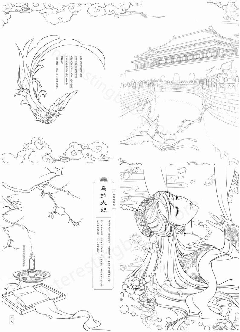 NEW / Colouring Book for Adults Chinese Coloring Book for - Etsy
