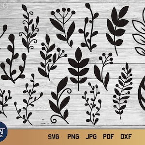 Foglie e rami SVG, pacchetto PNG Silhouette ramo, ramo di un albero PNG.