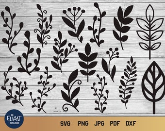 Hojas y ramas SVG, paquete de silueta de rama PNG, rama de árbol PNG.