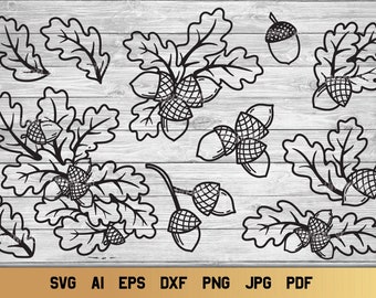 Colección de hojas de otoño y bellotas SVG, roble SVG, diseño de otoño SVG de bellota.