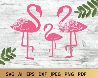 Flamenco rosa SVG, flamenco floral SVG clipart, pájaro tropical SVG.