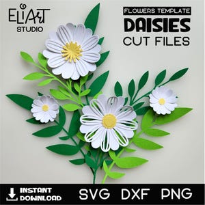 Daisy SVG, 3D-bloem SVG, madeliefjes en bladeren bundel SVG.