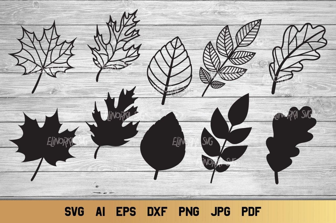 Fall Leaf Collection SVG, Set of 10 Elements, Oak Leaf SVG, Maple Leaf ...