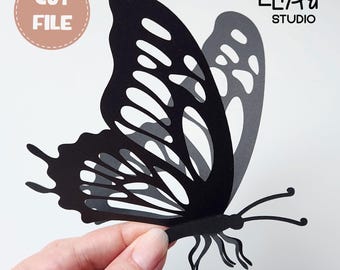 Szablon SVG motyla, plik 3D motyla letniego, warstwowy motyl SVG.