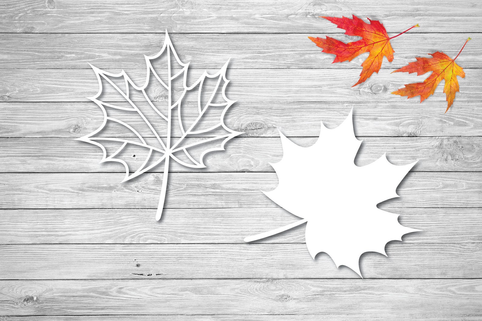 Fall Leaf Collection SVG Set of 10 Elements Oak Leaf SVG - Etsy