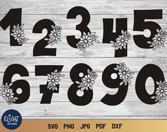 Number SVG, Floral Number SVG Design, Birthday Party Decoration.