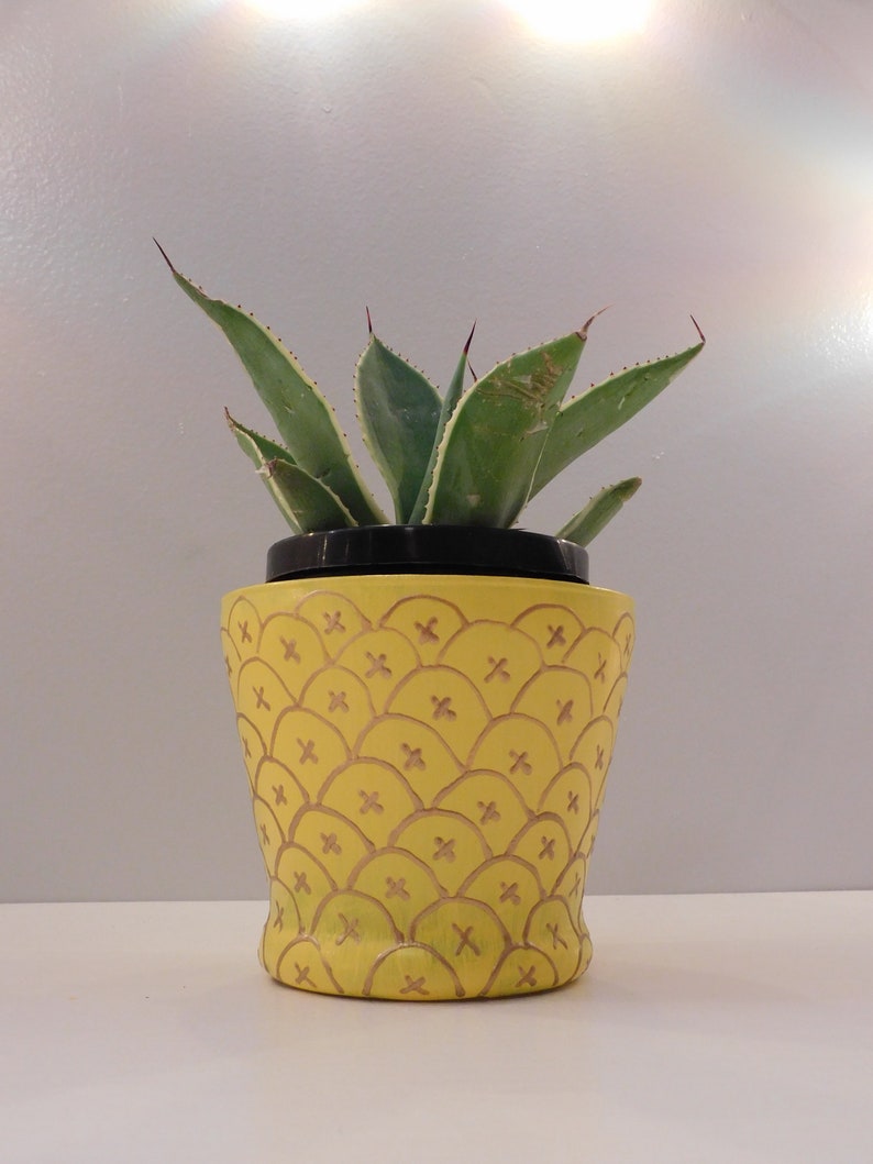 Pineapple Vase with Plant