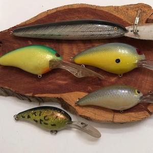 core keeper chance to get a fish on the hook How to Fish in Core Keeper