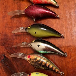 all purpose fishing pole Bobby Lane All Purpose Rod