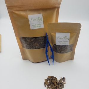 May include: Two brown paper bags with a clear window showing dried black soldier fly larvae inside. The bags have a white label with the text "Sweet Leaf's" and "Black Soldier Fly Larvae". A blue pair of tweezers is in front of the bags.