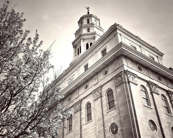 Nauvoo Tempel - Instant Digitale Foto Downloaden