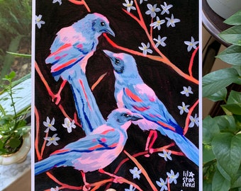 Scrub Jays- Print