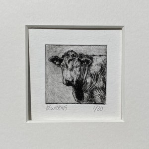 Cow Etching