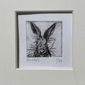 Hare Etching