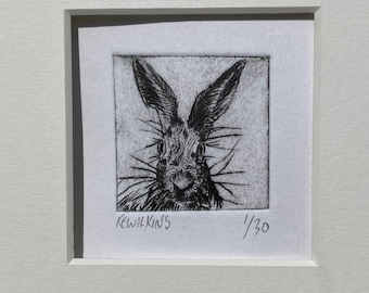Hare Etching