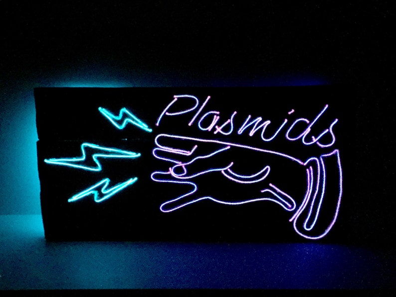plasmids neon sign