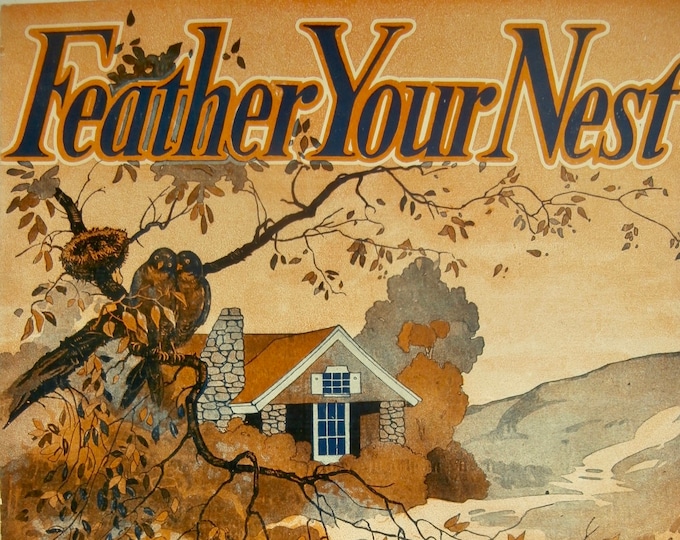 Feather Your Nest     1920  Sheet Music