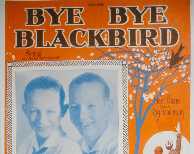 Bye Bye Blackbird