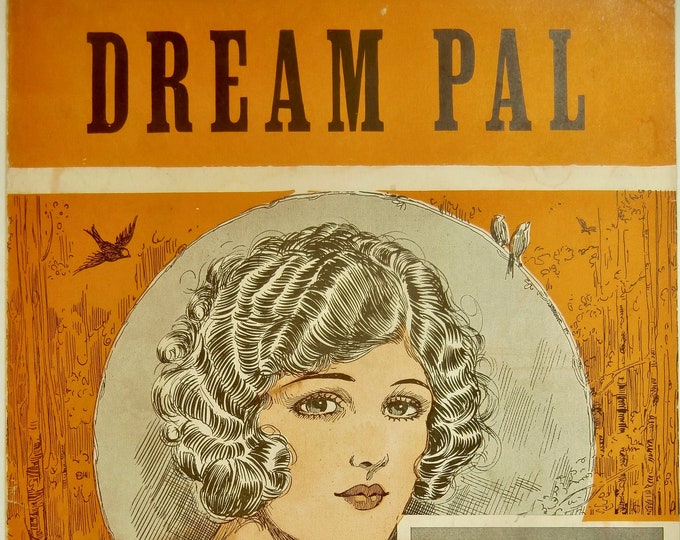 Dream Pal   1925   Willie Robyn   Billy Baskette      Sheet Music