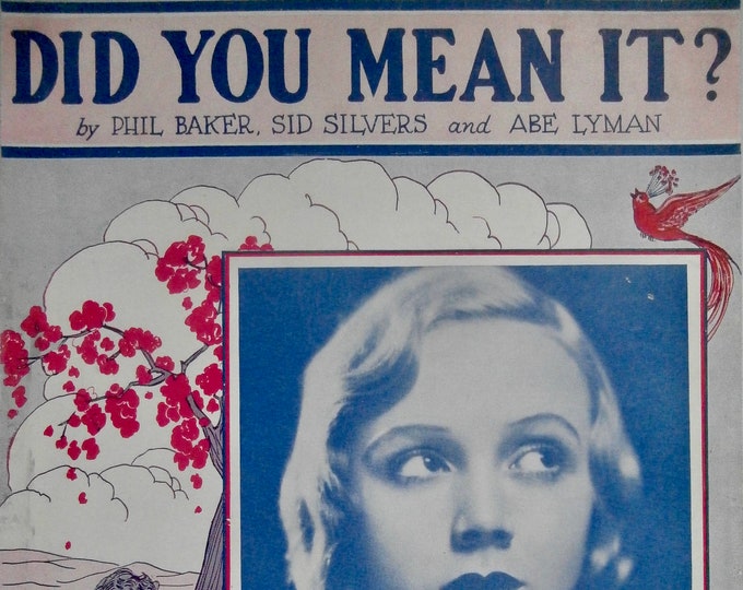 Did You Mean It?   1927   Doree Leslie   Phil Baker  Sid Silvers    Sheet Music