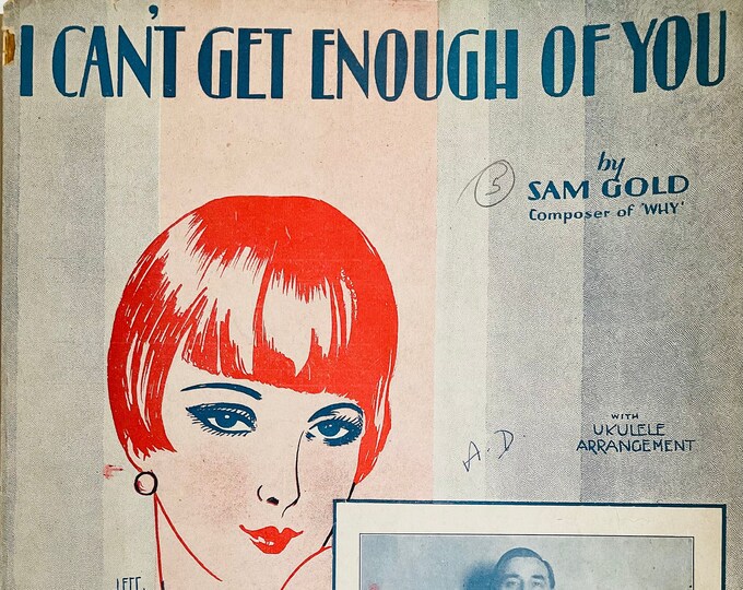 I Can't Get Enough Of You   1928   Henderson E. Van Surdam   Billy Hays  Sam Gold    Sheet Music