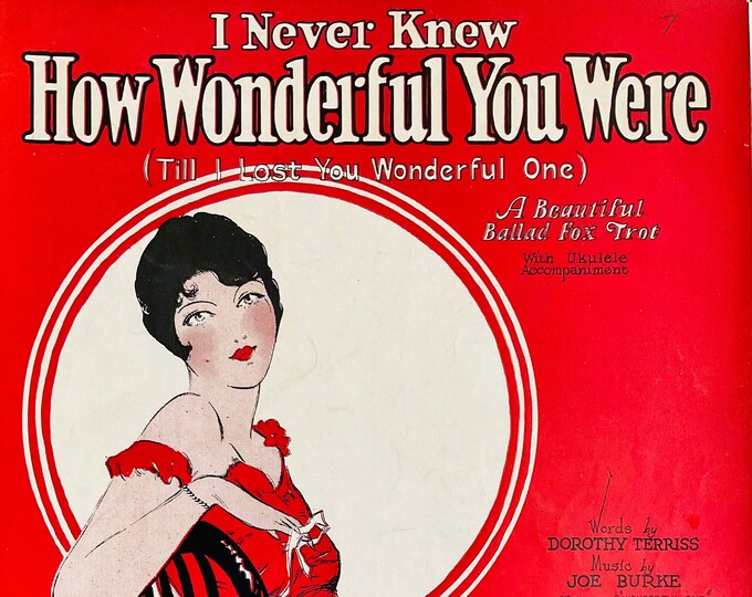 I Never Knew How Wonderful You Were (Till I Lost You Wonderful One)   1926      Dorothy Terriss  Joe Burke    Sheet Music