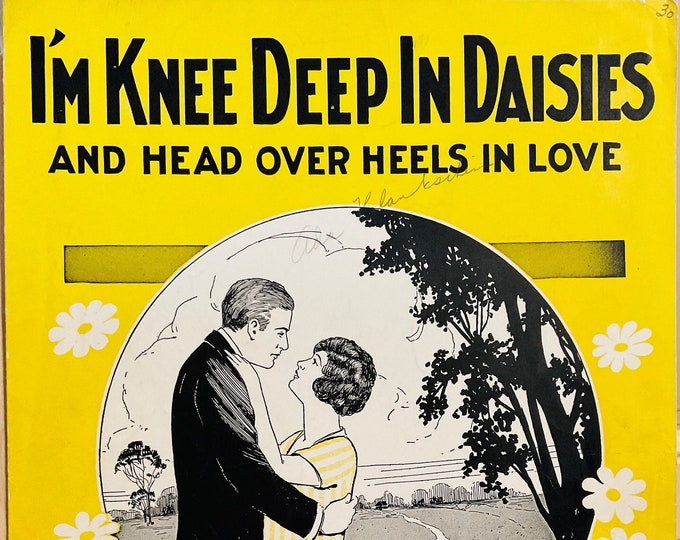 I'm Knee Deep In Daises And Head Over Heels In Love   1925   Cogert & Motto   Joe Goodwin  Jack Stanley    Sheet Music