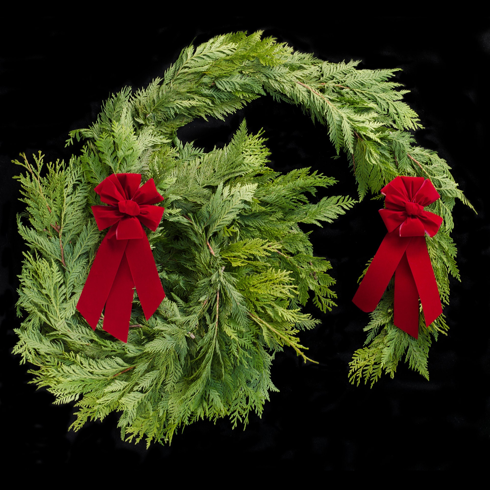 Christmas Garland Fresh Cedar Garland Etsy