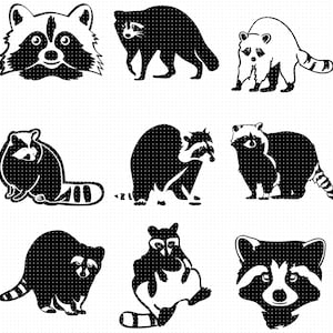 raccoon svg, eps, png, dxf, clipart for cricut and silhouette