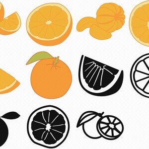 orange fruit svg, eps, png, dxf, clipart for cricut and silhouette