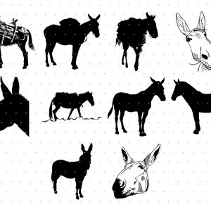 muilezel SVG, EPS, PNG, DXF, clipart voor cricut en silhouet