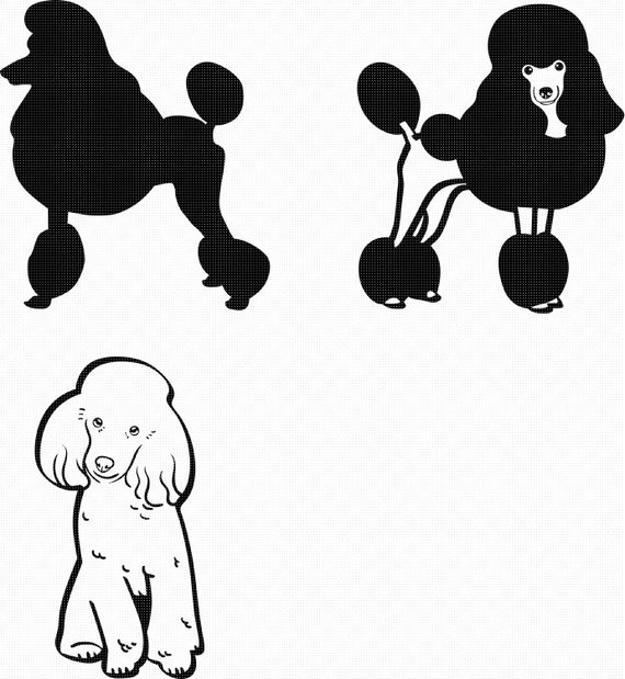Download Poodle Dog Svg Eps Png Dxf Clipart For Cricut And Etsy