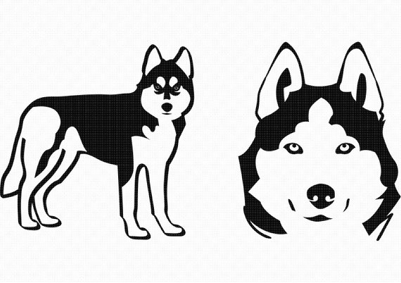 Download Husky Dog Svg Eps Png Dxf Clipart For Cricut And Etsy