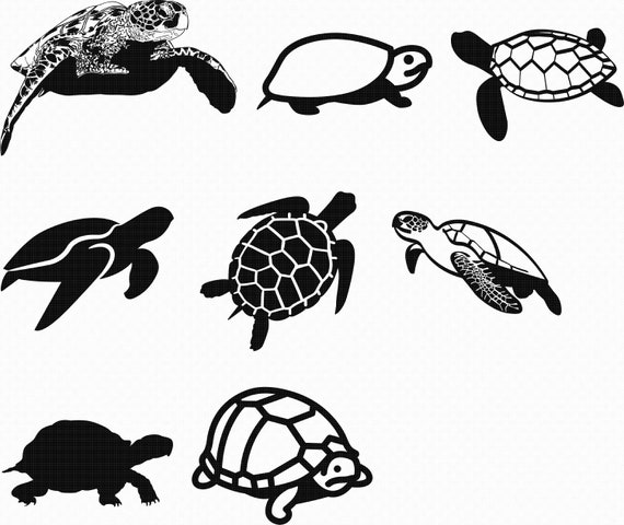 Download Turtle Svg Eps Png Dxf Clipart For Cricut And Silhouette Etsy
